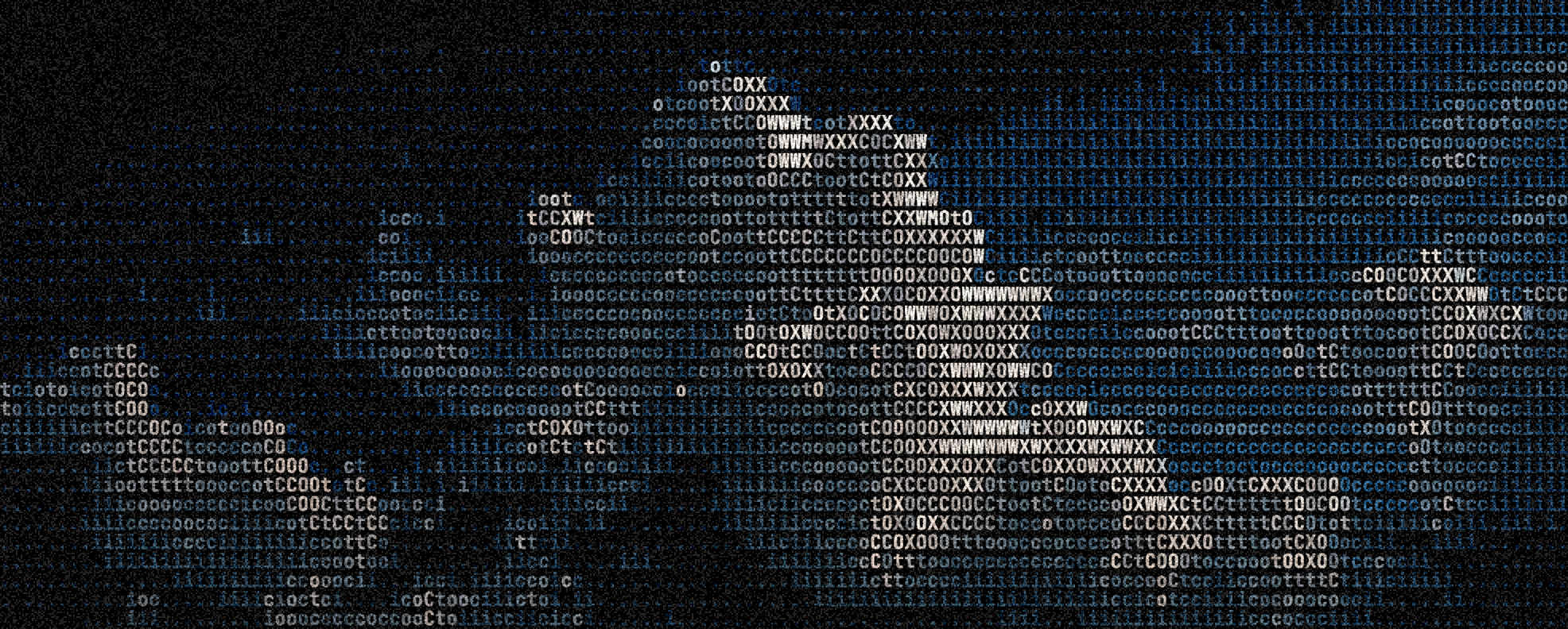 FWKV ASCII Art Banner
